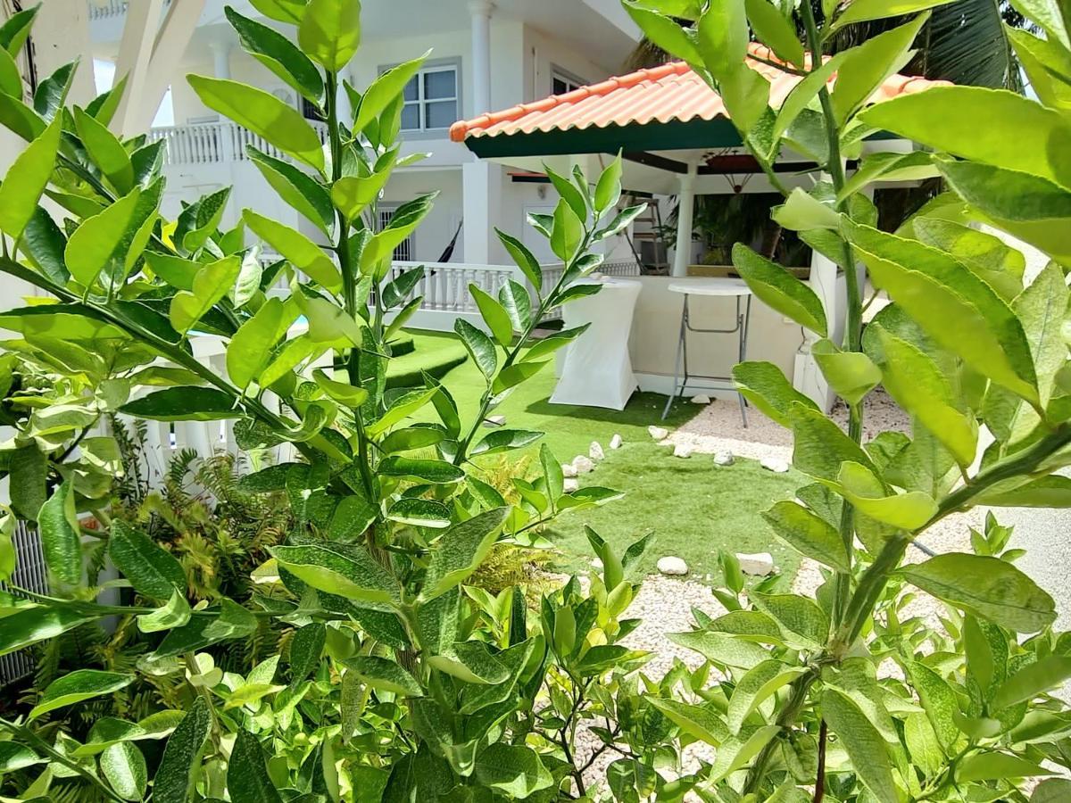 Adonai Hotel Boutique 빌렘스타트 외부 사진
